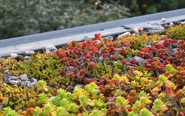 the cost of Gearraidh Na Monadh green roof installation